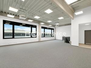 Pronájem skladu, Brno, Vinohradská, 446 m2