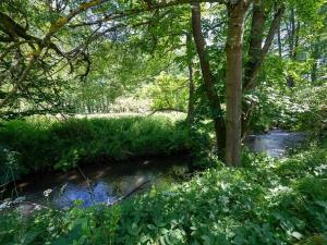 Prodej pozemku pro bydlení, Choustník, 114846 m2