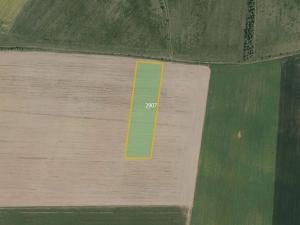 Prodej pole, Ronov nad Doubravou, 10959 m2