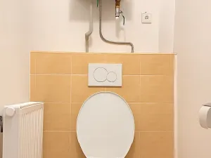 Pronájem bytu 1+1, Brno, Havlišova, 50 m2