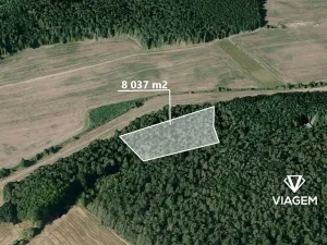 Prodej podílu lesa, Hrdlív, 2411 m2