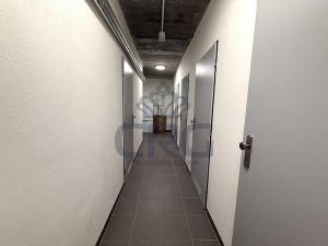 Pronájem bytu 2+kk, Opava - Předměstí, Kačírkova, 64 m2