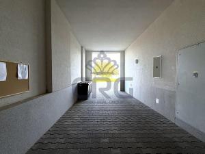 Pronájem bytu 2+1, Rostěnice-Zvonovice - Rostěnice, 65 m2