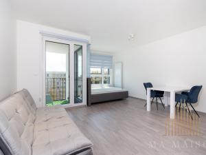 Pronájem bytu 1+kk, Praha - Žižkov, Olgy Havlové, 38 m2