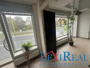 Pronájem obchodního prostoru, Praha - Břevnov, Bělohorská, 211 m2