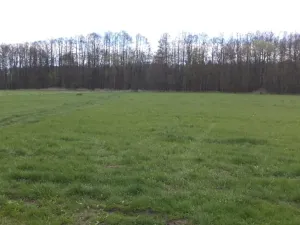 Dražba louky, Tachov, 23048 m2