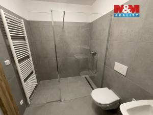 Pronájem bytu 2+1, Ostrava - Vítkovice, Lidická, 57 m2