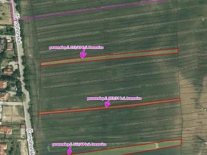 Dražba pole, Brno, 8031 m2