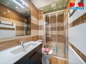 Prodej rodinného domu, Dolní Bělá, 169 m2