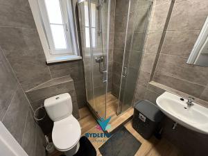 Prodej bytu 1+1, Teplice, 14. října, 41 m2