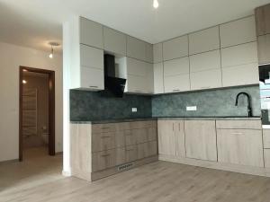 Pronájem bytu 2+kk, Plzeň, U Borského parku, 67 m2