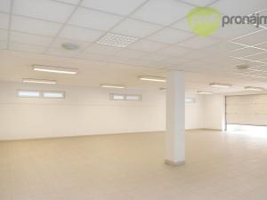 Pronájem skladu, Vyškov, Palánek, 280 m2
