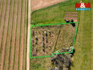 Prodej zahrady, Dobšice, 2462 m2