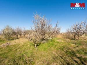 Prodej zahrady, Dobšice, 2462 m2