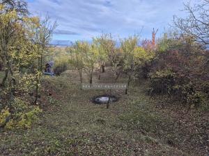 Prodej zahrady, Židlochovice, 1185 m2