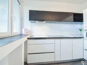 Pronájem bytu 1+kk, Přerov, Tománkova, 43 m2