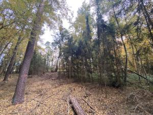 Prodej lesa, Srbice - Těšovice, 2923 m2