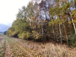 Prodej lesa, Srbice - Těšovice, 1109 m2