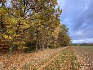 Prodej lesa, Srbice - Těšovice, 1109 m2