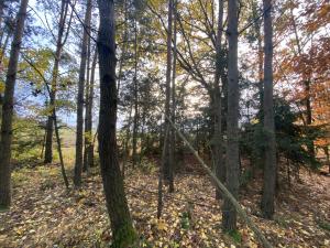 Prodej lesa, Srbice - Těšovice, 1109 m2