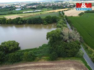 Prodej rybníku, Český Brod - Liblice, 6053 m2