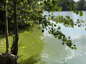 Prodej rodinného domu, Hrusice, K Penzionu, 360 m2