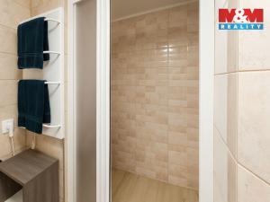 Prodej bytu 2+kk, Dolní Loučky, 54 m2