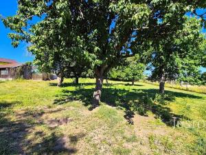 Prodej rodinného domu, Heřmaň, 100 m2