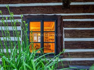 Prodej ubytování, Dalečín, 536 m2