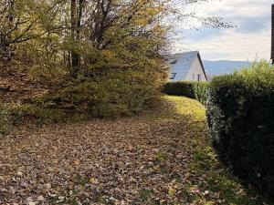 Prodej pozemku, Hošťálková, 1781 m2