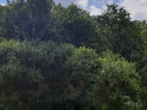 Prodej pozemku, Dolní Zimoř, 1049 m2