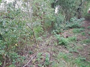 Prodej komerčního pozemku, Měšice, 2035 m2