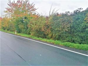 Prodej komerčního pozemku, Měšice, 2035 m2