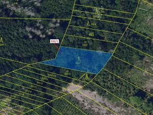 Dražba lesa, Havlíčkův Brod, 870 m2