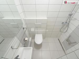 Pronájem bytu 1+1, Kladno, Amálská, 30 m2