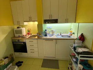 Prodej bytu 1+1, Praha - Braník, Na Mlejnku, 52 m2