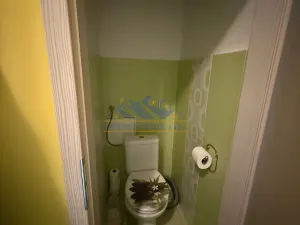 Prodej bytu 1+1, Praha - Braník, Na Mlejnku, 52 m2