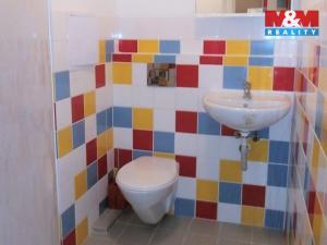 Pronájem bytu 1+kk, Plzeň - Jižní Předměstí, Čelakovského, 28 m2