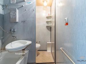 Prodej bytu 1+1, Hartmanice, 39 m2