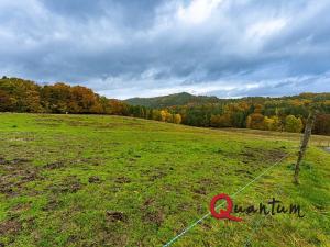 Prodej ubytování, Ždírec, 336 m2