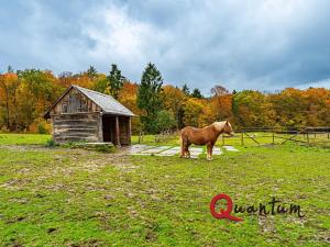 Prodej ubytování, Ždírec, 336 m2