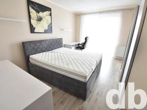 Pronájem bytu 3+kk, Karlovy Vary, Kosmonautů, 110 m2