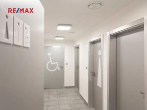 Pronájem kanceláře, Praha - Hodkovičky, Pod kopcem, 700 m2