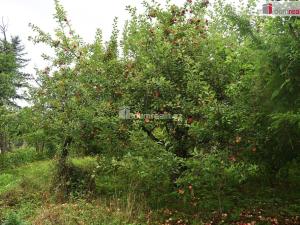 Prodej pozemku pro bydlení, Dobrovice, 636 m2