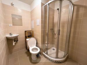 Pronájem bytu 2+1, Karlovy Vary, 53 m2