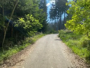 Dražba pozemku, Kladruby nad Labem, 698 m2