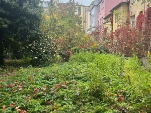 Prodej bytu 2+kk, Brno, Jiráskova, 35 m2