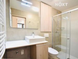 Pronájem bytu 1+kk, Břeclav, Břetislavova, 18 m2