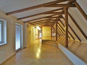 Pronájem bytu 5+kk, Praha - Malá Strana, Újezd, 286 m2