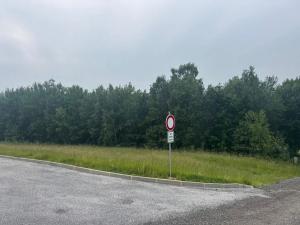 Dražba pozemku pro bydlení, Slavče, 1251 m2